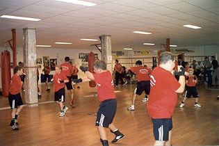 Schaduwboksen